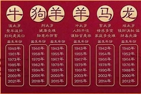 2025是什么生肖|2025年生肖属什么？